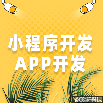 定制開發(fā)有什么好處？為什么要開發(fā)app？使用起來效果不好？