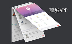 投資哪家鄭州商城app開發(fā)性價比好